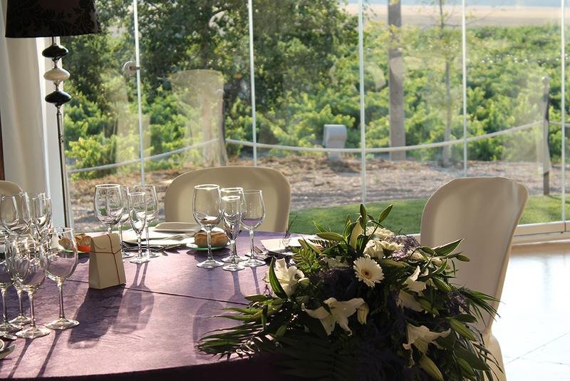Salón interior con vistas al viñedo a través de paredes de cristal